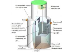 Биозон 30